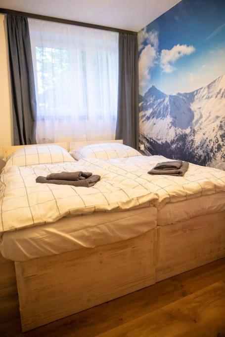 Apartament Leszczynska 29 Bielsko-Biala Exterior photo