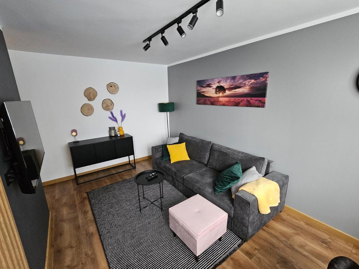 Apartament Leszczynska 29 Bielsko-Biala Exterior photo