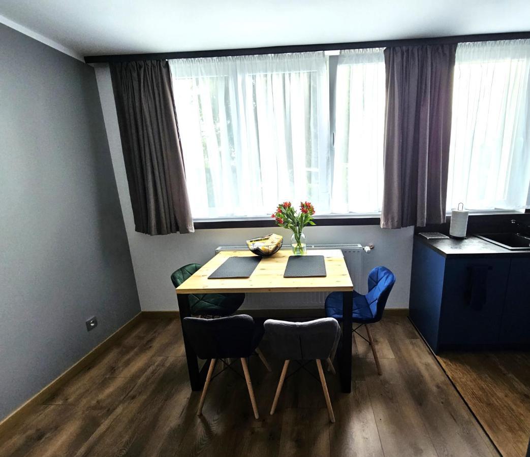 Apartament Leszczynska 29 Bielsko-Biala Exterior photo